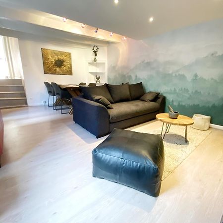 Esprit Nomad - Appartement Rue Pietonne Proche Lac آنسي المظهر الخارجي الصورة