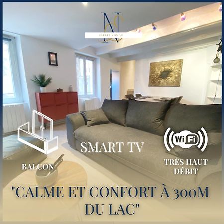 Esprit Nomad - Appartement Rue Pietonne Proche Lac آنسي المظهر الخارجي الصورة