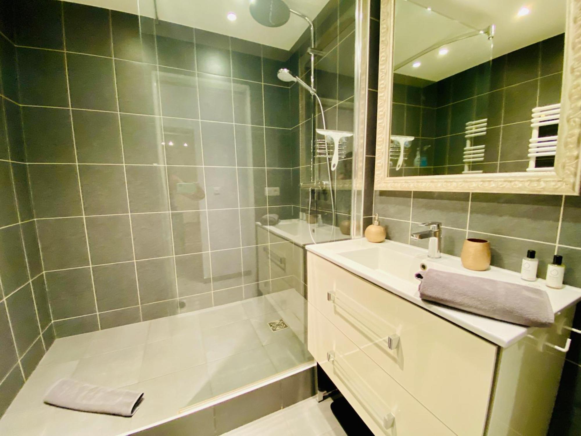 Esprit Nomad - Appartement Rue Pietonne Proche Lac آنسي المظهر الخارجي الصورة